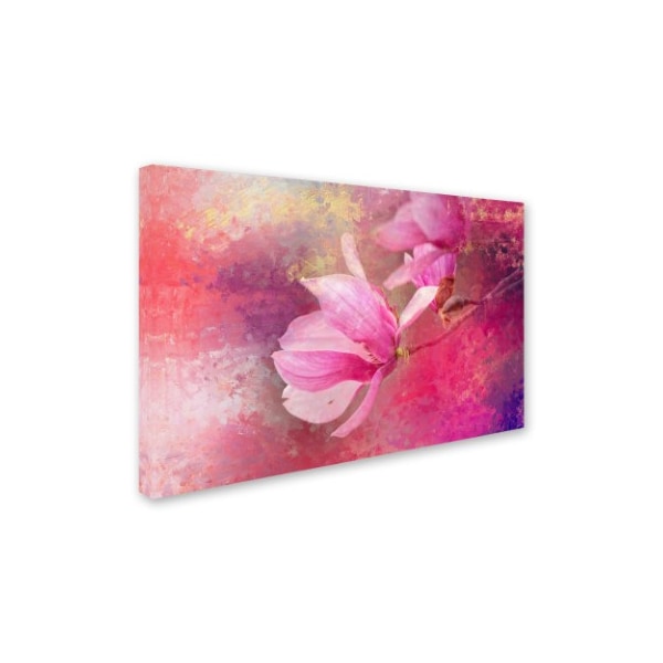 Jai Johnson 'Pink Tulip Magnolia' Canvas Art,30x47